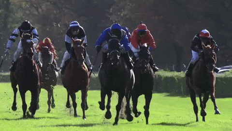 parivrai horse racing